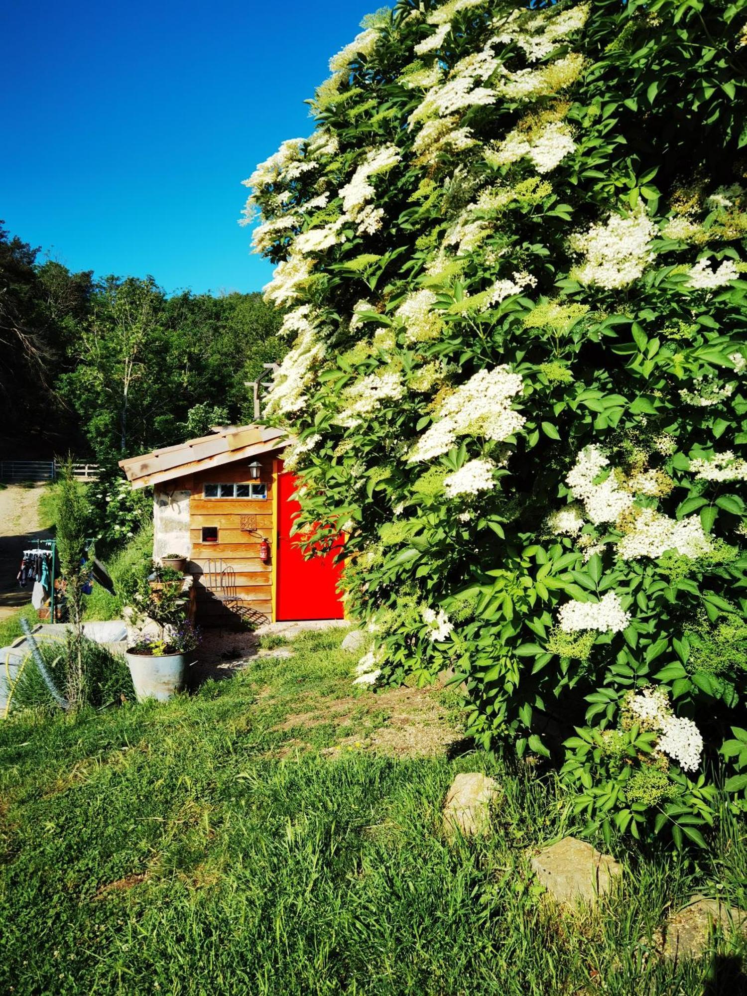 Ferme De Samson Villa Saint-Péray Exterior foto